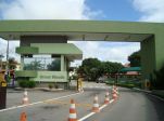 Foto: GREEN WOODS